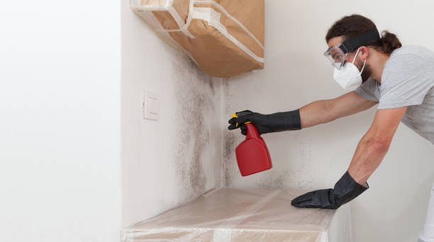 Professional Commercial Mold Remediation technician working in Bowie, TX