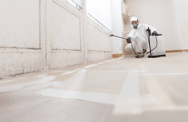 24/7 Emergency Commercial Mold Remediation experts in Bowie, TX