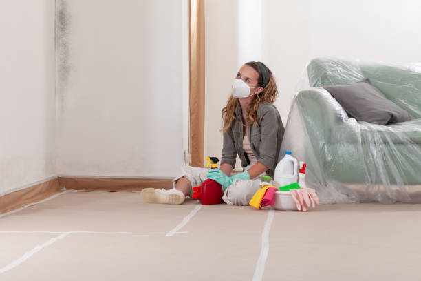Reliable Commercial Mold Remediation contractor in Bowie, TX by 24 Hour Mold Removal