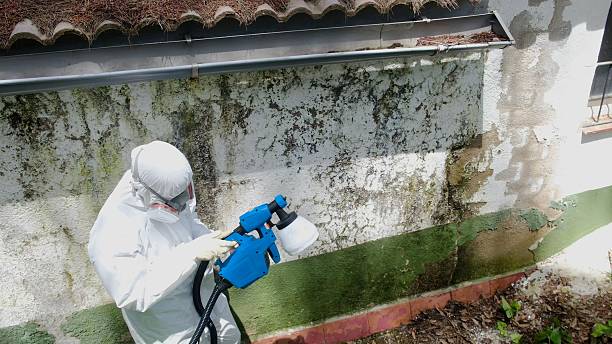 Top rated local Commercial Mold Remediation specialists in Bowie, TX
